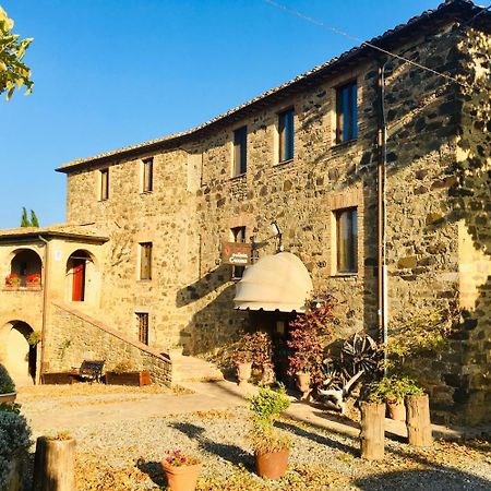 Piombaia Villa Montalcino Kültér fotó