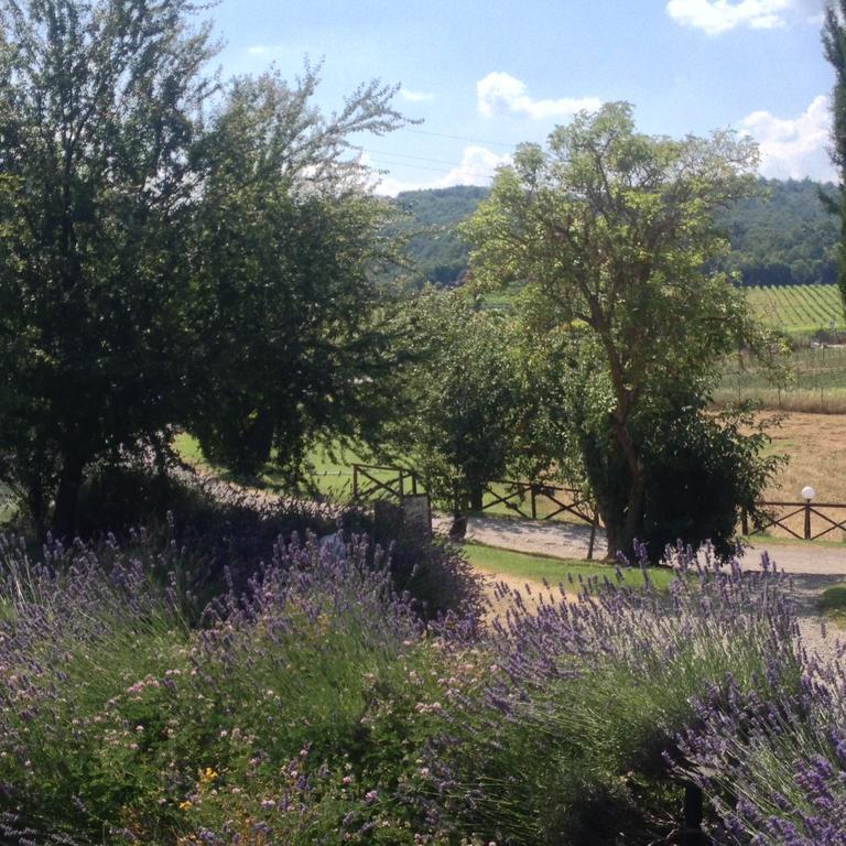 Piombaia Villa Montalcino Kültér fotó