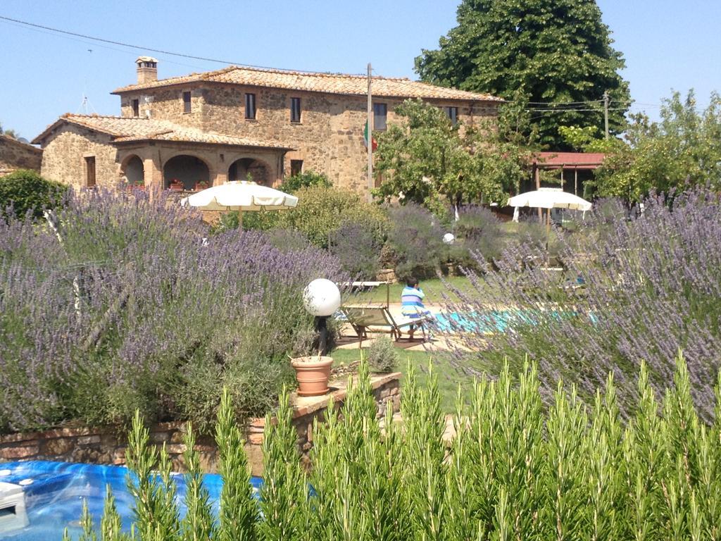 Piombaia Villa Montalcino Kültér fotó
