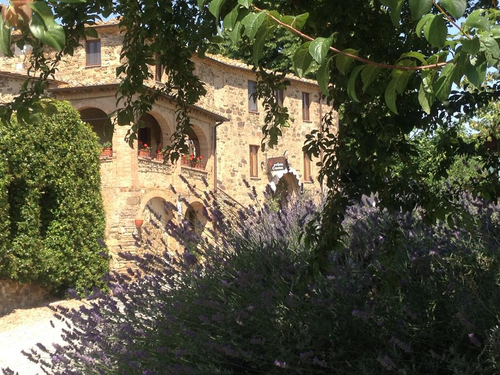 Piombaia Villa Montalcino Kültér fotó