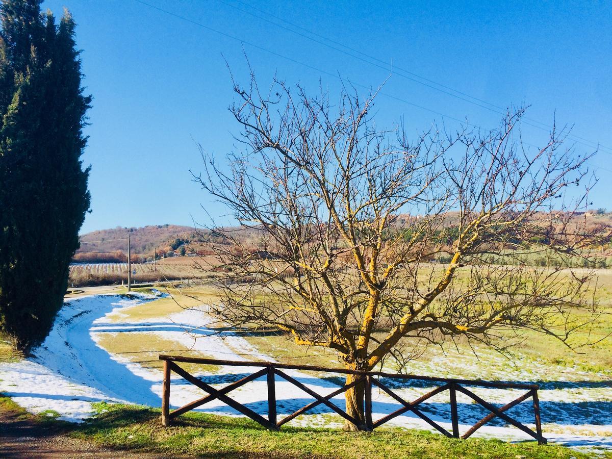 Piombaia Villa Montalcino Kültér fotó