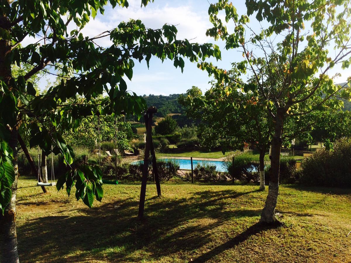 Piombaia Villa Montalcino Kültér fotó