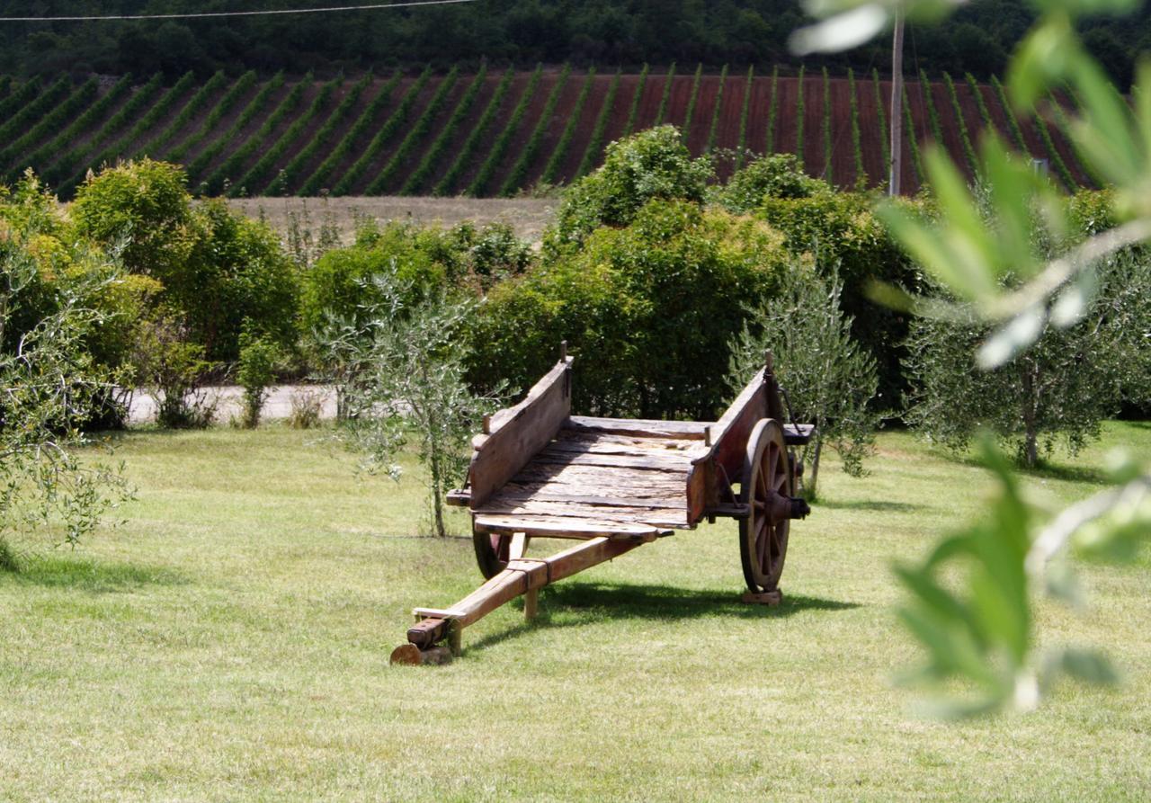Piombaia Villa Montalcino Kültér fotó