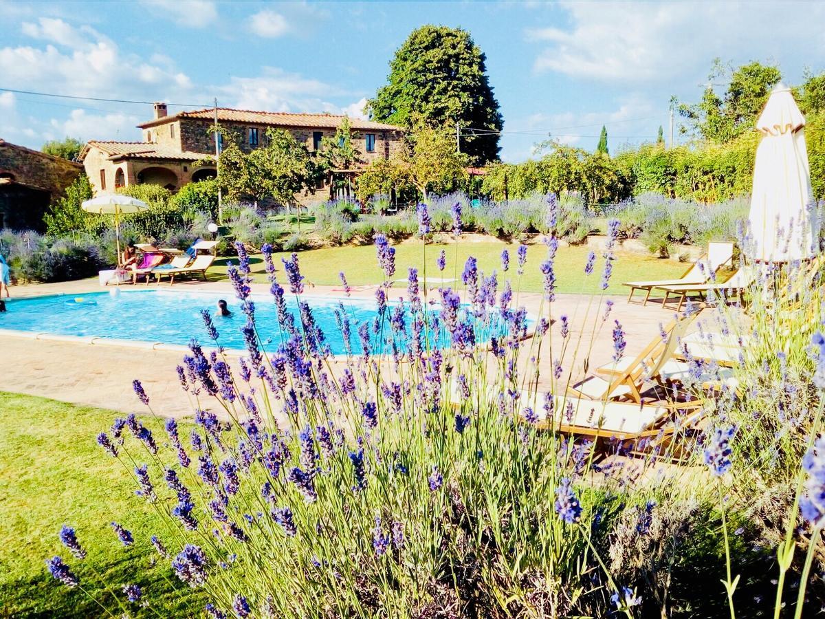 Piombaia Villa Montalcino Kültér fotó