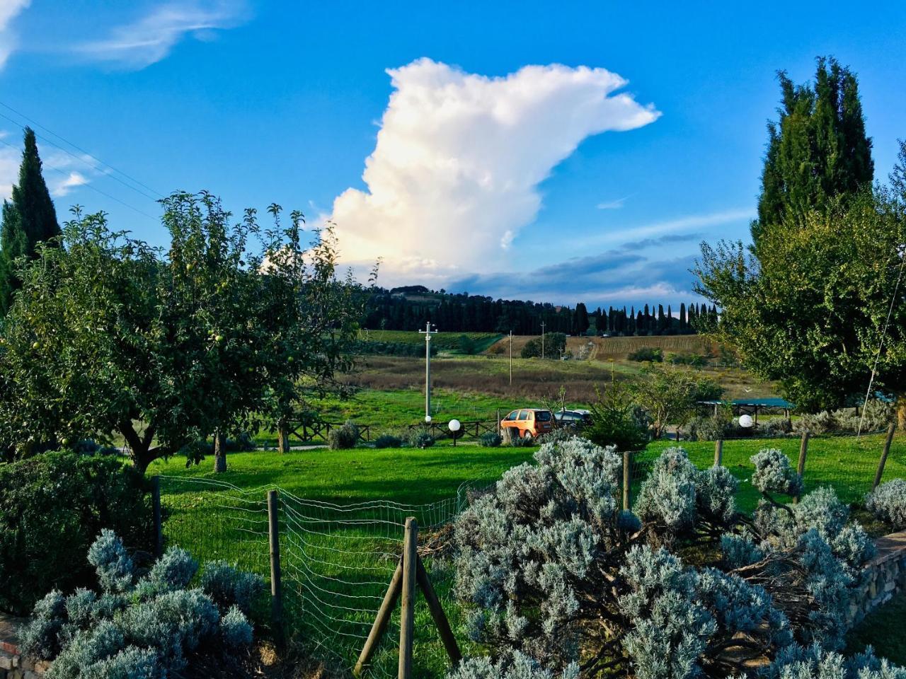 Piombaia Villa Montalcino Kültér fotó