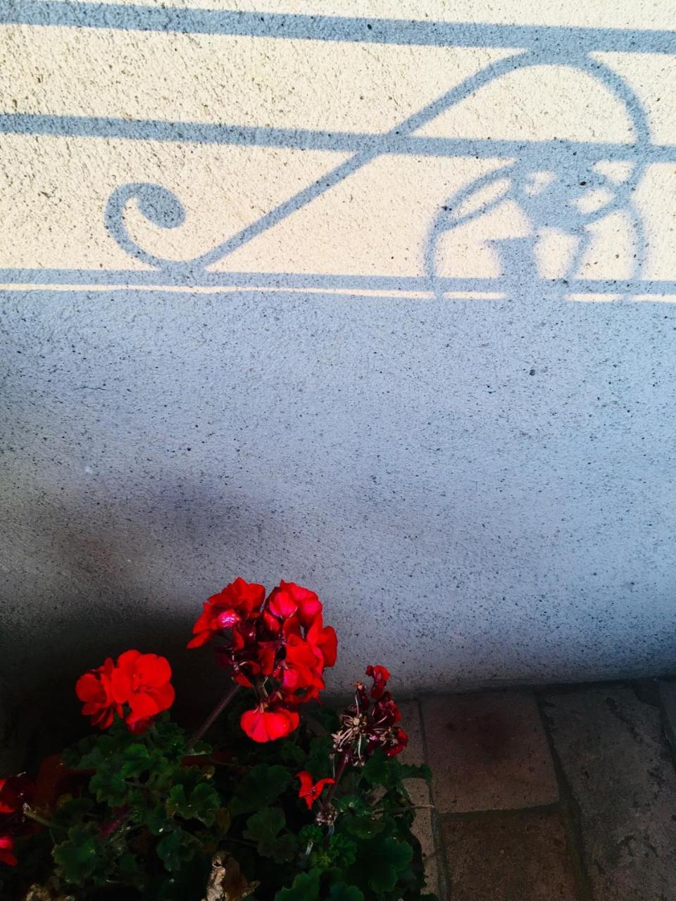 Piombaia Villa Montalcino Kültér fotó